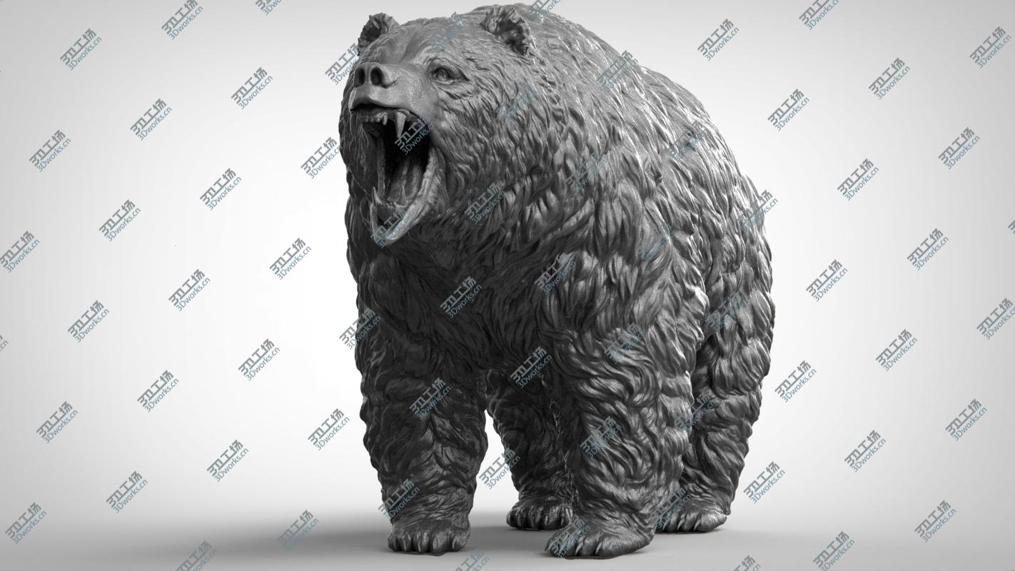 images/goods_img/202104094/Bear Realistic 3D model/5.jpg